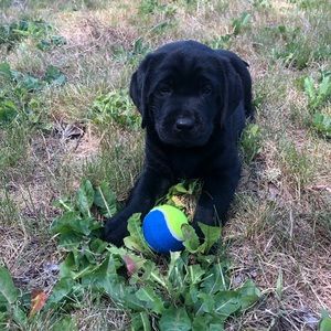 Meet your Posher, Stefani